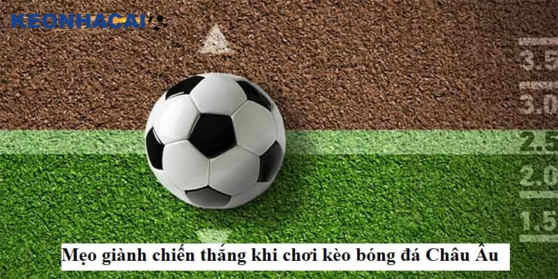 Cách Đánh Kèo Châu Âu Hiệu Quả – Bí Quyết Tăng Tỷ Lệ Thắng Cách đánh kèo châu âu hiệu quả là quản lý tài chính